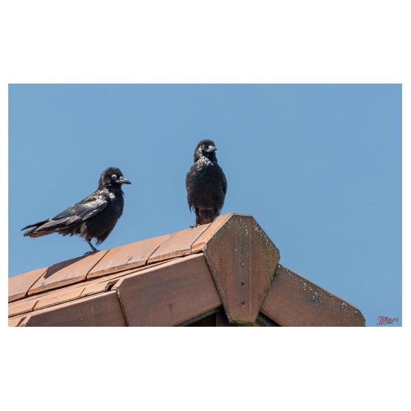 PHOTO84, CLUB, 84 , LUBERON